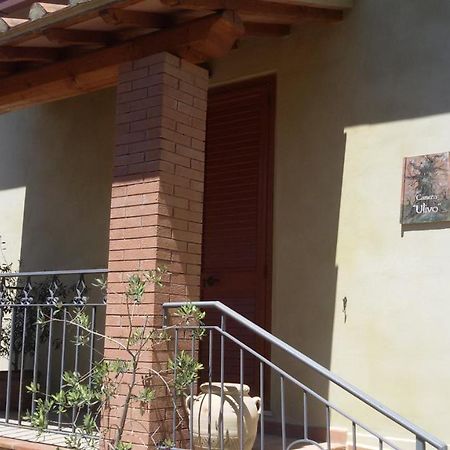Le Camere Di Nonna Mara Montescudaio Zewnętrze zdjęcie