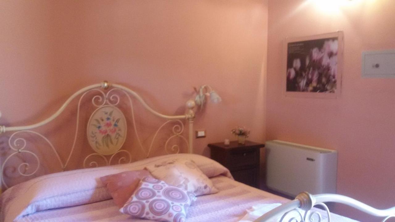 Le Camere Di Nonna Mara Montescudaio Zewnętrze zdjęcie