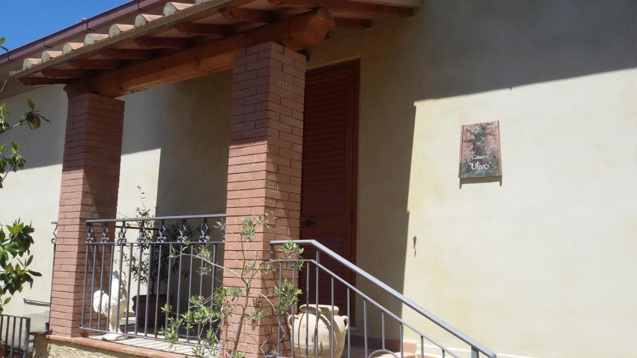 Le Camere Di Nonna Mara Montescudaio Zewnętrze zdjęcie